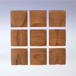 9 Elemente aus massivem Sapeliholz geölt, je 40x40 cm